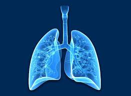 Pulmonology & Critical Care